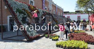 Instalan en Atlixco el mosaico floral monumental con motivo de la Semana Santa