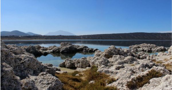 Detienen al exedil de Tepeyahualco por daños irreversibles a la Laguna de Alchichica