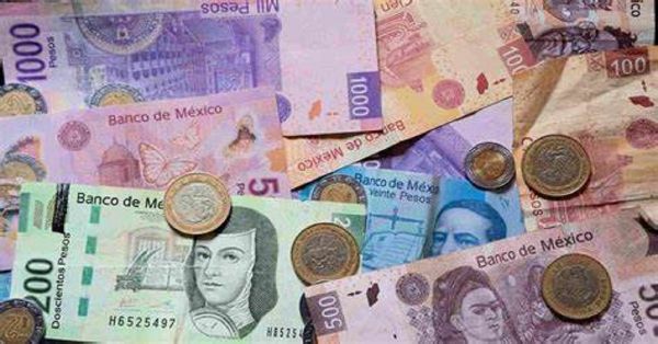 Reconoce Coparmex Puebla el logro para el aumento al salario mínimo
