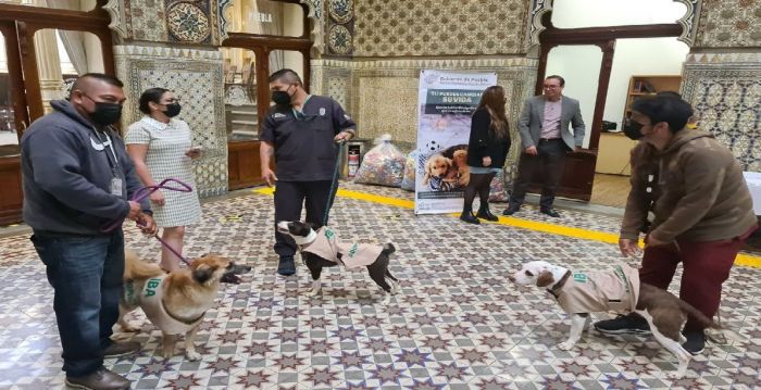 Mediante cultura de la adopción, IBA promueve bienestar animal en el Congreso