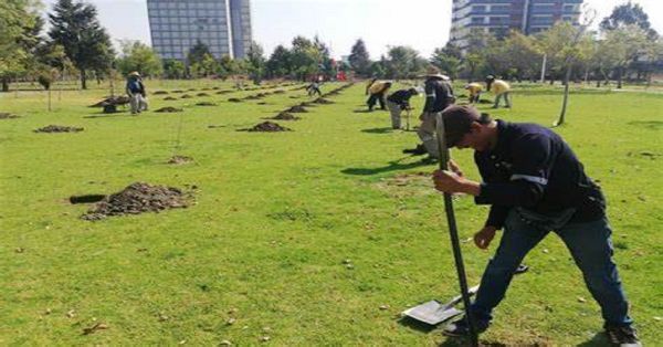 Refuerzan estrategia de reforestación y rescate de suelos en Puebla