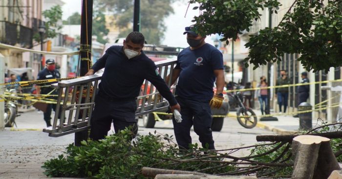 "Fue un fatal accidente, un hecho lamentable, se hab&iacute;an revisado los &aacute;rboles": Carlos Montiel
