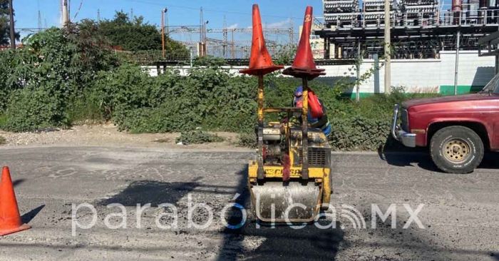 Tapa ayuntamiento más de 750 baches en menos de una semana