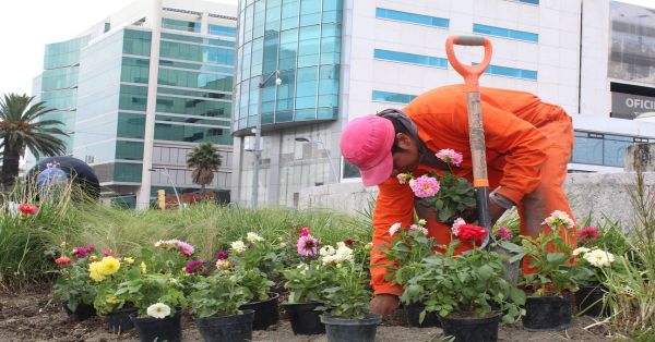 Remodelan Avenida Juárez, tendrá áreas verdes