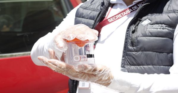Realizan an&aacute;lisis toxicol&oacute;gicos a operadores del transporte p&uacute;blico, cinco est&aacute;n suspendidos