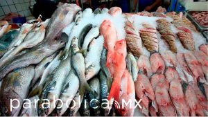Arranca Profeco operativo Cuaresma 2021 en pescaderías y marisquerías de Puebla