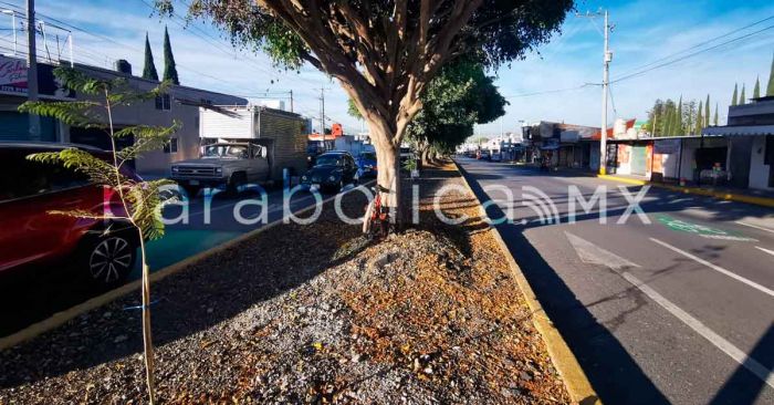 Obras de administración panista también incluyen la colocación de bolardos