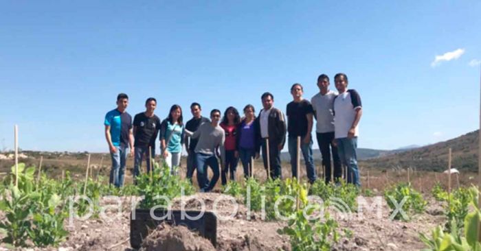 Se mejoran en la BUAP condiciones de cultivo en suelos áridos