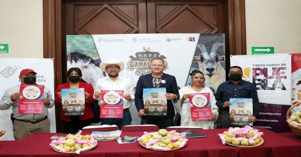 Habrá Expo Agrícola y Ganadera de Soltepec
