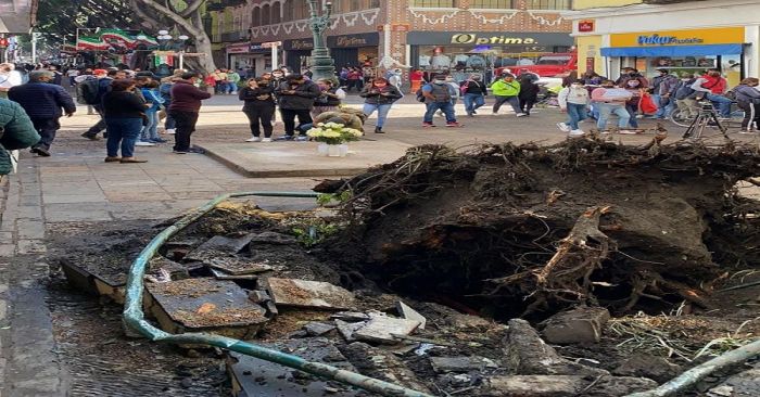 Despiden familiares y amigos a Santy, menor fallecido por la caída de árbol en el centro