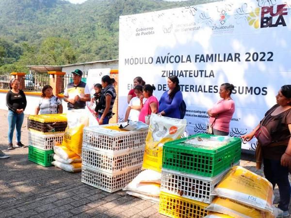 Entrega Bienestar módulos avícolas en Zihuateutla