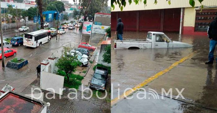 Dejan 14 árboles colapsados lluvias de martes y madrugada del miércoles: PC