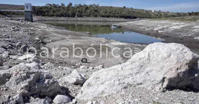 Apoyarán con recursos a productores afectados por la sequía