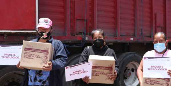 Entrega Desarrollo Rural 336 paquetes tecnológicos para productores de café