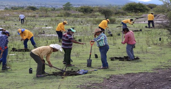 Ponen en marcha estrategias para restaurar recursos naturales en Puebla