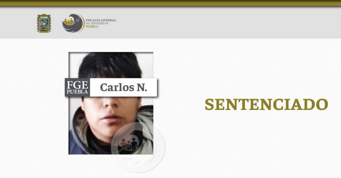 Pasará Carlos N. 6 años en prisión por robar un vehículo