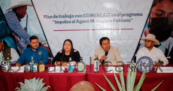 Representa mezcal poblano 400 mdp de la economía del estado