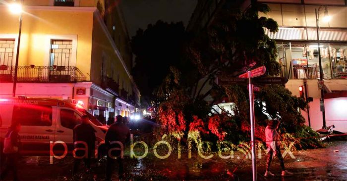 Promete Eduardo Rivera apoyar a familia de menor fallecido por caída de árbol