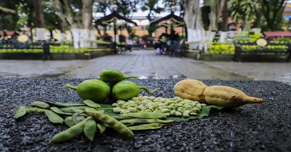 Participará Puebla en Foro Mundial de Gastronomía Mexicana en Guadalajara