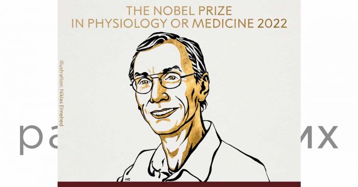 Gana Svante Pääbo Nobel de Medicina 2022 por descubrimientos sobre evolución humana