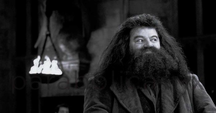 Muere Robbie Coltrane, actor que interpretó a Hagrid en “Harry Potter”