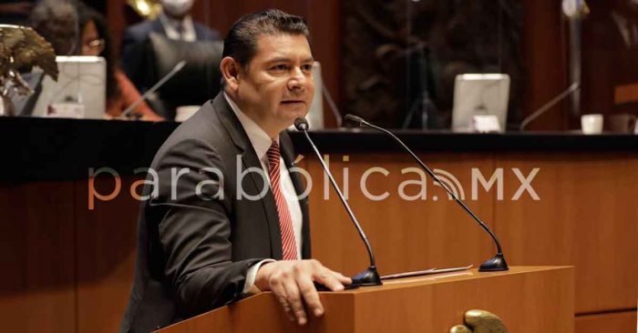 Honra la bancada morenista en el Senado la lealtad a AMLO y la 4T: Armenta