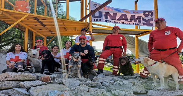 Reciben certificación binomios caninos K9 de la Cruz Roja