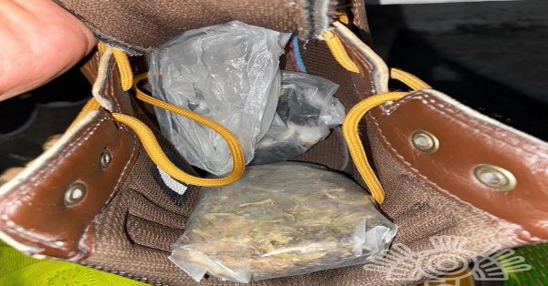 Detecta binomio canino aparente droga en el Centro Penitenciario Puebla