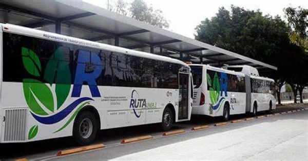 Anuncian nuevos destinos de RUTA; dará servicio a un millón de usuarios