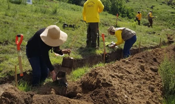 En 37 municipios, Medio Ambiente reforesta con m&aacute;s de 127 mil &aacute;rboles