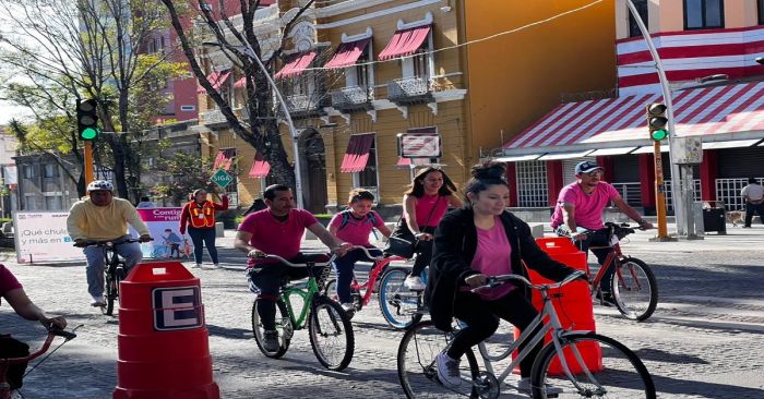Se pinta de rosa el Gran Paseo, con motivo de la lucha contra el cáncer de mama