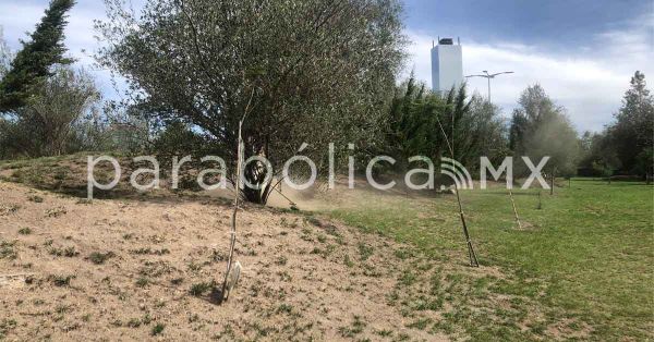 Acusan usuarios del Parque Metropolitano negligencia de administrador