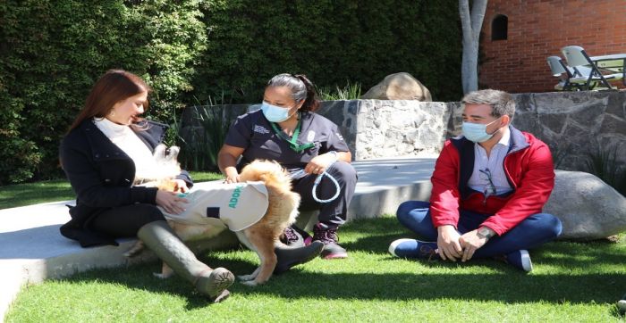 Promueven en Puebla el rescate y adopción de canes