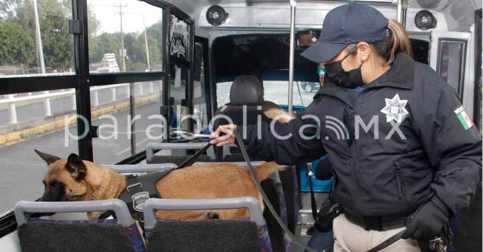 Despliega ayuntamiento tres mil 295 operativos en el transporte público