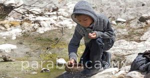 Indemniza con prontitud el Gobierno de Puebla a productores poblanos: Barbosa