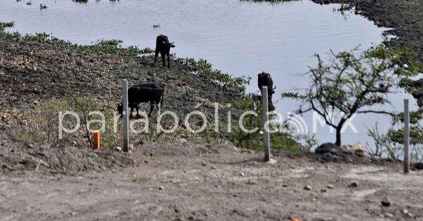 En “Martes Ciudadano”, SDR reafirma apoyo a productores de sal
