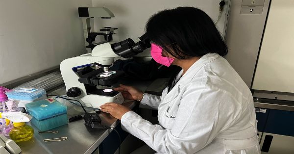 Analizan en la BUAP genoma de E. coli para conocer sus marcadores de infección