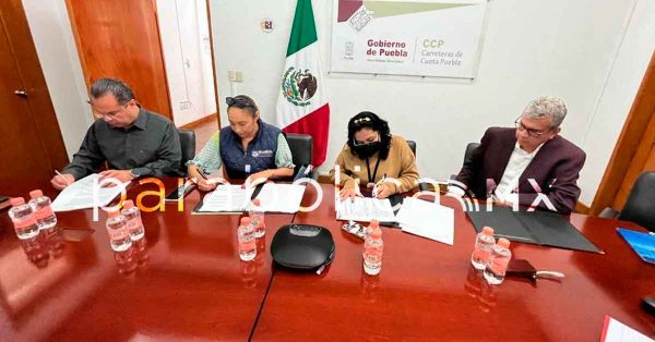 Dar&aacute; ayuntamiento mantenimiento a los camellones de RUTA