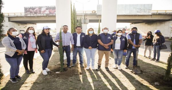 Realizan en San Andrés Cholula tercera etapa de reforestación en carretera federal Puebla-Atlixco