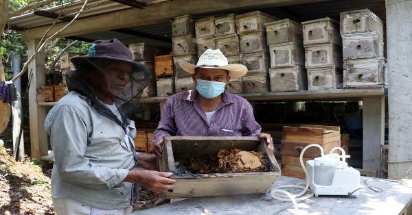 Acuerdan SDR y Unión Europea sinergia para protección de melipona y sal ancestral poblana