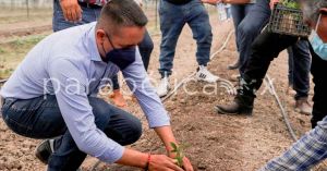 Pone en marcha Mundo Tlatehui el macro túnel para la producción de zarzamora