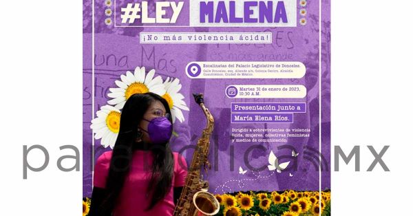 Presentará Morena iniciativa de “Ley Malena” para combatir violencia ácida contra las mujeres