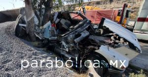 Choca con un árbol y casa kilómetrica hilera de tráfico en Periférico