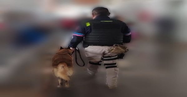 Aseguran 22 kilogramos de posible coca&iacute;na en Puebla