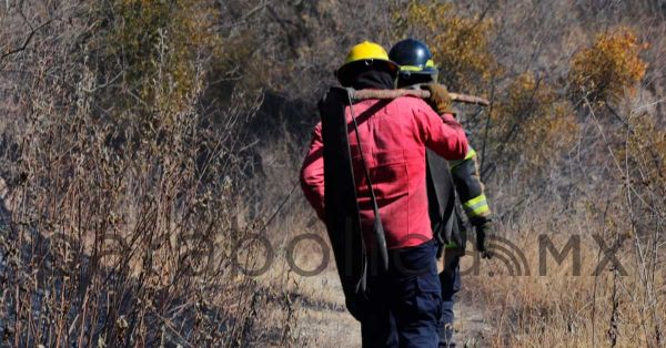 Publica Ayuntamiento de Puebla padrón de registro de pregir