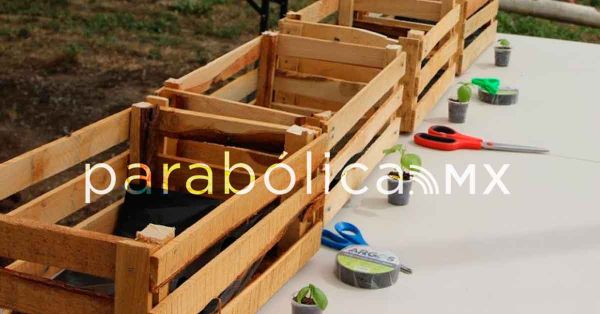 Presenta ayuntamiento seis cursos de verano agroecológico