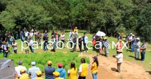 Arranca mega reforestación para la Sierra Norte, se plantarán un millón 600 mil árboles