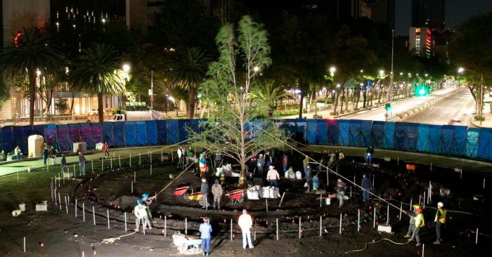 Plantan nuevo ahuehuete en Paseo de la Reforma