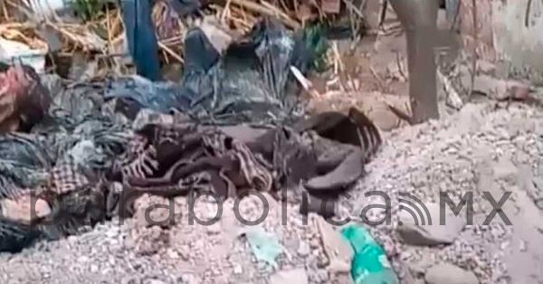 Localiza colectivo “Hasta Encontrarte” 26 cuerpos en Salamanca