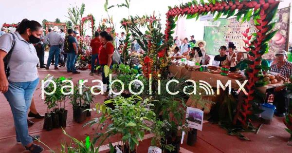 Tiene Puebla la sede nacional de Expo-Foro de Sistemas Cafetaleros: Biestro